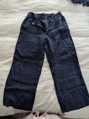 Quince Women's Linen Pleated Trousers Size 8 Petite Navy Blue